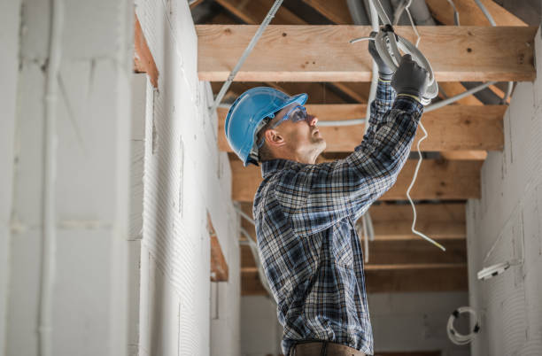 Best Circuit Breaker Repair  in Johnston City, IL